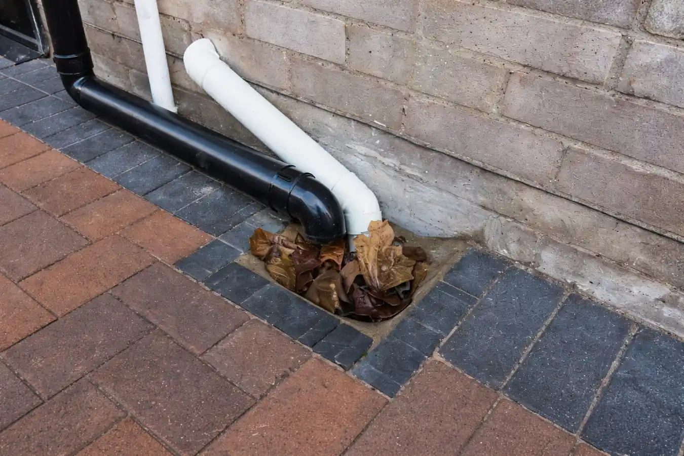 Common Causes of Drain Blockages in Homes