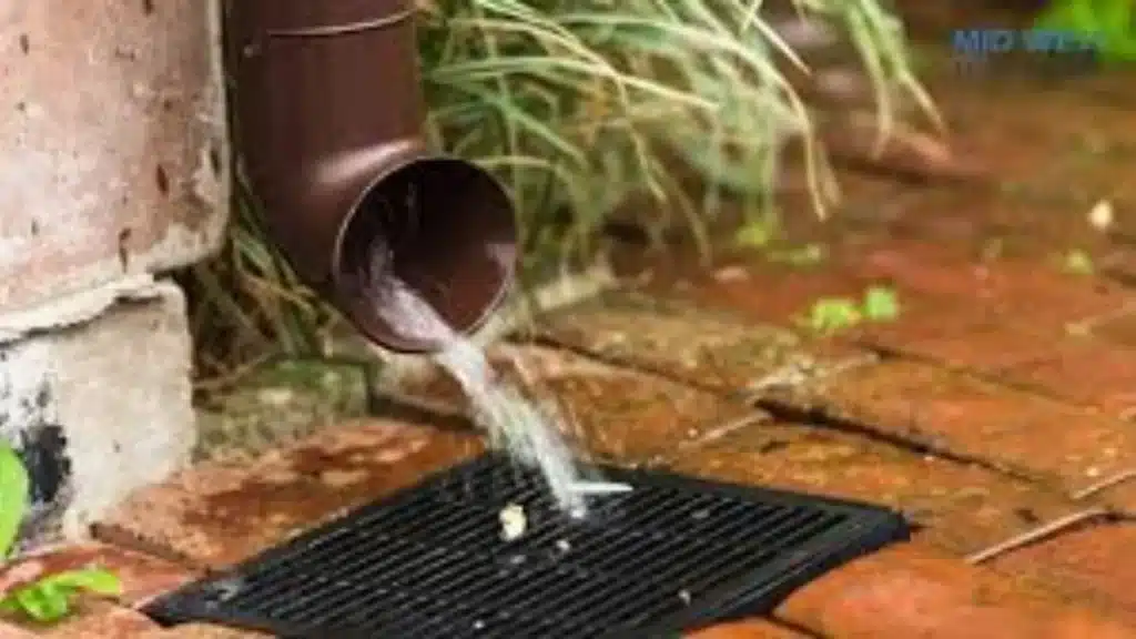 Blocked Drain Can Really Cause